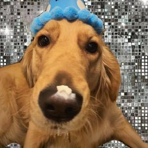 91精品国偷拍自产在
