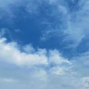 91精品国偷拍自产在
